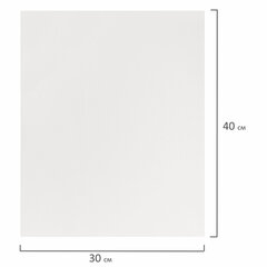 Холст на подрамнике BRAUBERG ART DEBUT, 30&times;40см, грунтованный, 100% хлопок, мелкое зерно, 191023