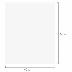 Холст на подрамнике BRAUBERG ART DEBUT, 40&times;50см, грунтованный, 100% хлопок, мелкое зерно, 191024