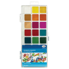 Краски акварельные ГАММА &laquo;Классическая&raquo;, 24 цвета, медовые, пластиковый корпус, европодвес, 1009198