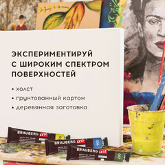 Краски масляные художественные НАБОР &laquo;PREMIERE 36 штук 32 цвета!&raquo;, в тубах 12 мл, BRAUBERG ART, 192008