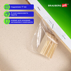 Холсты на подрамнике в коробе НАБОР 4 шт. (30&times;40 см), 280 г/<wbr/>м<sup>2</sup>, грунт, 100% хлопок, BRAUBERG ART DEBUT, 192511