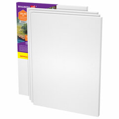 Холсты на подрамнике в коробе НАБОР 4 шт. (30&times;40 см), 280 г/<wbr/>м<sup>2</sup>, грунт, 100% хлопок, BRAUBERG ART DEBUT, 192511