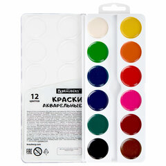 Краски акварельные BRAUBERG 12 цветов &laquo;Кот-Энтузиаст&raquo;, медовые, круглые кюветы, 192553