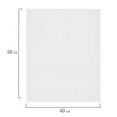 Холсты на картоне НАБОР 2 штуки (40&times;50 см), хлопок, грунт, 280 г/<wbr/>м<sup>2</sup>, BRAUBERG ART CLASSIC, 192655