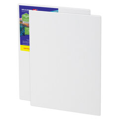 Холсты на картоне НАБОР 2 штуки (40&times;60 см), хлопок, грунт, 280 г/<wbr/>м<sup>2</sup>, BRAUBERG ART CLASSIC, 192656