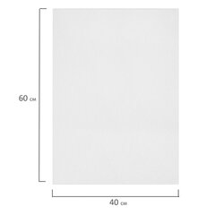 Холсты на картоне НАБОР 2 штуки (40&times;60 см), хлопок, грунт, 280 г/<wbr/>м<sup>2</sup>, BRAUBERG ART CLASSIC, 192656