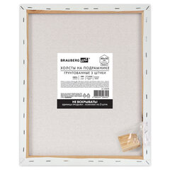 Холсты на подрамнике, набор 3 штуки, BRAUBERG ART BASIC, 40&times;50 см, 280 г/<wbr/>м<sup>2</sup>, хлопок, грунт, 192678