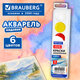 Краски акварельные для школ и худ. училищ BRAUBERG "ART ПЕЙЗАЖ", медовые, 6 цветов, круглые кюветы, пластиковый пенал с европодвесом, 192813