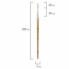Кисть BRAUBERG, щетина, круглая, № 5, 200196