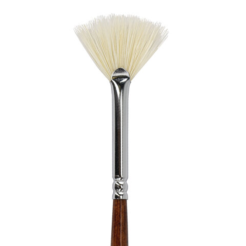 Кисть художественная профессиональная BRAUBERG ART CLASSIC, щетина, веерная, № 2, длинная ручка, 200