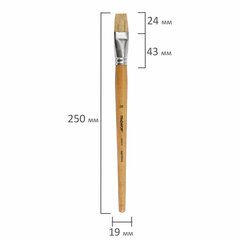 Кисть ПИФАГОР, ЩЕТИНА, плоская, № 20, деревянная лакированная ручка, пакет с подвесом, 200879