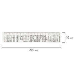 Линейка пластиковая 20 см BRAUBERG, справочная, английский язык, 210900