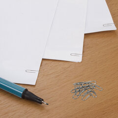 Скрепки STAFF &laquo;EVERYDAY&raquo;, 22 мм, металлические, 100 шт., в картонной коробке, Россия, 220302