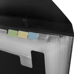 Папка-портфель пластиковая BRAUBERG А4 (332&times;245&times;35 мм), 13 отделений, фактура диагональ, черная, 221375
