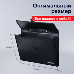Папка-портфель пластиковая BRAUBERG А4+ (390&times;260&times;40 мм), 3 отделения, фактура линейная, черная, 221389