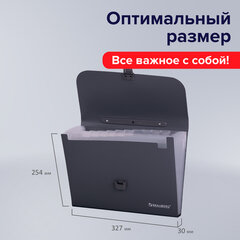 Папка-портфель пластиковая BRAUBERG А4 (327&times;254&times;30 мм), 13 отделений, серая, 221438