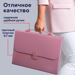 Папка-портфель пластиковая BRAUBERG А4 (327&times;254&times;30 мм), 13 отделений, розовая, 221441