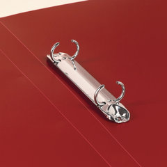 Папка на 2 кольцах BRAUBERG &laquo;Стандарт&raquo;, 25 мм, красная, до 170 листов, 0,8 мм, 221614