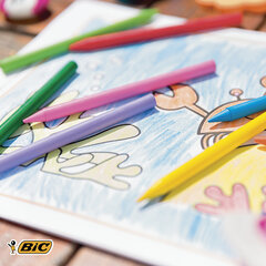 Мелки пластиковые BIC &laquo;Plastidecor&raquo;, 12 цветов, ультрапрочные, круглые, картонная упаковка, подвес, 945764