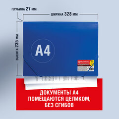 Папка на резинках BRAUBERG &laquo;Business&raquo;, А4, 13 отделений, пластиковый индекс, синяя, 0,5 мм, 224146