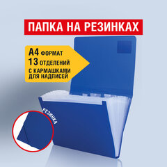 Папка на резинках BRAUBERG &laquo;Business&raquo;, А4, 13 отделений, пластиковый индекс, синяя, 0,5 мм, 224146