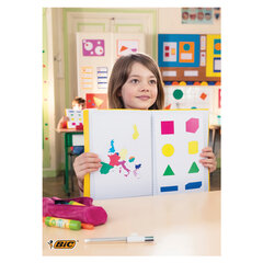 Клей-карандаш BIC &laquo;ECOlutions&raquo;, 8 г, 8923442