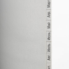 Разделитель пластиковый BRAUBERG, А4, 12 листов, Январь-Декабрь, оглавление, серый, РОССИЯ, 225599