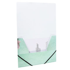 Папка на резинках BRAUBERG &laquo;FLOWER&raquo;, А4, цветная печать, до 300 листов, 500 мкм, 228032