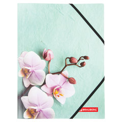 Папка на резинках BRAUBERG &laquo;FLOWER&raquo;, А4, цветная печать, до 300 листов, 500 мкм, 228032