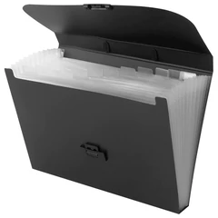 Портфель пластиковый STAFF А4 (330&times;235&times;36 мм), 13 отделений, индексные ярлыки, черный, 229245