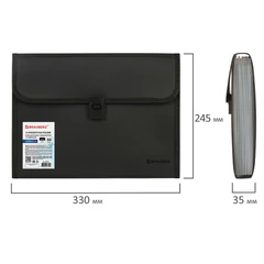 Папка для бумаг и документов с замком и 13 отделениями BRAUBERG &laquo;HIT&raquo;, А4, пластик, черная, 229572