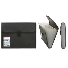 Папка для бумаг и документов с замком и 13 отделениями BRAUBERG &laquo;HIT&raquo;, А4, пластик, черная, 229572