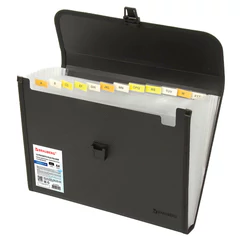 Папка для бумаг и документов с замком и 13 отделениями BRAUBERG &laquo;HIT&raquo;, А4, пластик, черная, 229572