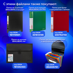 Папки-файлы перфорированные А4 BRAUBERG "STANDARD", КОМПЛЕКТ 100 шт., гладкие, 40 мкм, 229661