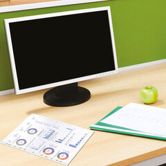 Папки-файлы перфорированные А4 BRAUBERG &laquo;EXTRA 700&raquo;, КОМПЛЕКТ 50 шт., матовые, ПЛОТНЫЕ, 70 мкм, 229667