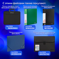 Папки-файлы перфорированные А4 BRAUBERG "EXTRA 700", КОМПЛЕКТ 50 шт., матовые, ПЛОТНЫЕ, 70 мкм, 229667