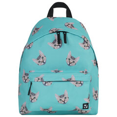 Рюкзак BRAUBERG СИТИ-ФОРМАТ универсальный, &laquo;Cats&raquo;, голубой, 41&times;32&times;14 см, 229881