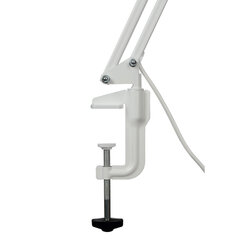 Настольная лампа светильник Гермес на струбцине, СВЕТОДИОДНАЯ, 8 Вт, белый