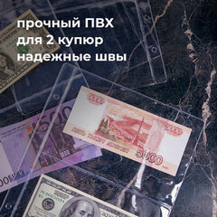 Листы-вкладыши для денежных купюр для альбома &laquo;Оптима&raquo; М9-05, комплект 5 шт., 200&times;250 мм, 2 кармана, ЛМБ-02