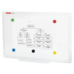 Магниты МОЩНЫЕ 20 мм (МАЛОГО ДИАМЕТРА), НАБОР 6 шт., ассорти, BRAUBERG &laquo;SUPER&raquo;, 237477