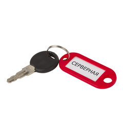 Бирки для ключей КОМПЛЕКТ 100 шт., длина 50 мм, инфо-окно 30&times;15 мм, АССОРТИ, STAFF, 237493