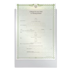 Обложка-файл для свидетельства о рождении, 190&times;260 мм, ПВХ, прозрачная, STAFF, 237584