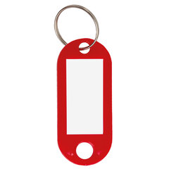 Бирки для ключей КОМПЛЕКТ 100 шт., длина 52 мм, инфо-окно 30&times;15 мм, цвет ассорти, STAFF, 237730