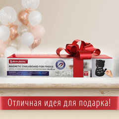 Доска на холодильник магнитно-меловая 30&times;40 см &laquo;Pussy Cat&raquo; с набором аксессуаров, BRAUBERG, 237840