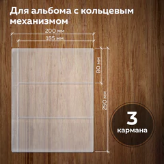 Листы-вкладыши для альбома &laquo;OPTIMA&raquo; на 3 боны (купюры), КОМПЛЕКТ 10 шт., 200&times;250 мм, ПВХ, STAFF, 238082