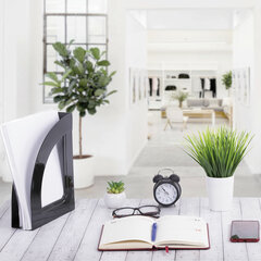 Лоток вертикальный для бумаг BRAUBERG ECONOMY, 220&times;70&times;290 мм, черный, 238112