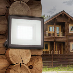 Прожектор светодиодный ЭРА, 20(175) Вт, 6500К, 1600 Лм, IP65, черный, LPR-023-0-65K-020