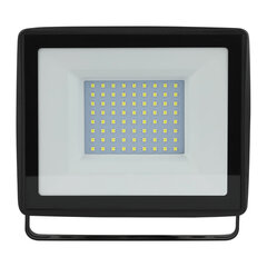 Прожектор светодиодный ЭРА, 100 (830) Вт, 6500 К, 8000 Лм, IP65, черный, LPR-023-0-65K-100