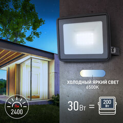 Прожектор светодиодный ЭРА, 30 (250) Вт, 6500 К, 2400 Лм, IP65, LPR-023-0-65K-030