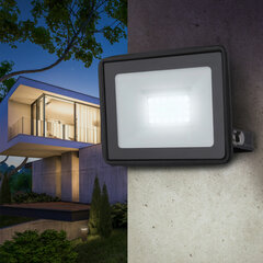 Прожектор светодиодный ЭРА, 30 (250) Вт, 6500 К, 2400 Лм, IP65, LPR-023-0-65K-030